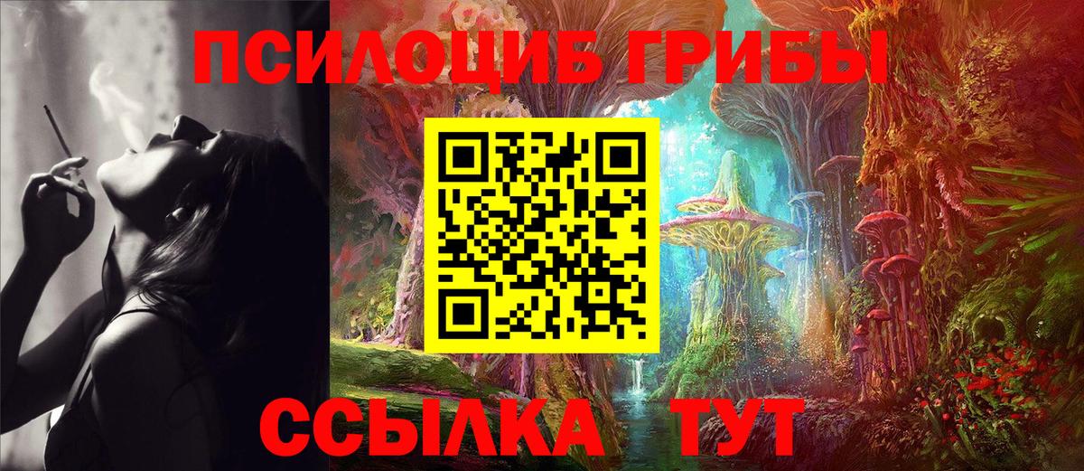 Дмитров  Галлюциногенные грибы Psilocybe  что такое наркотик  Вход с VPN  Псилоцибиновые грибы Psilocybe 